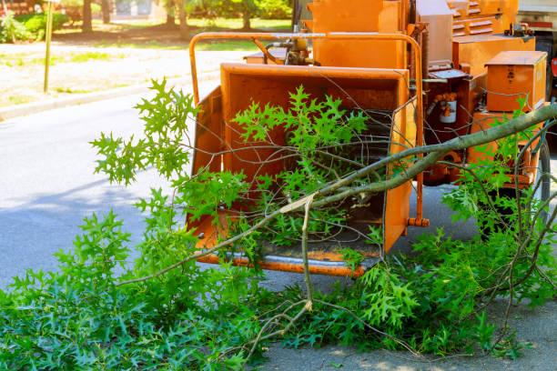 Best Landscape Design and Installation  in Reedsville, WI