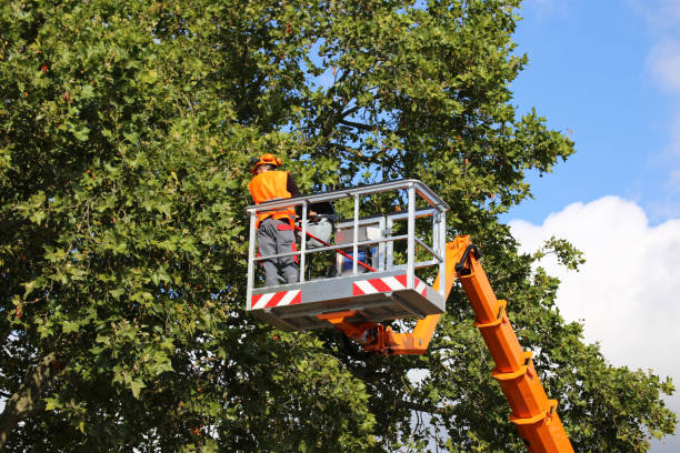Best Lawn Pest Prevention  in Reedsville, WI